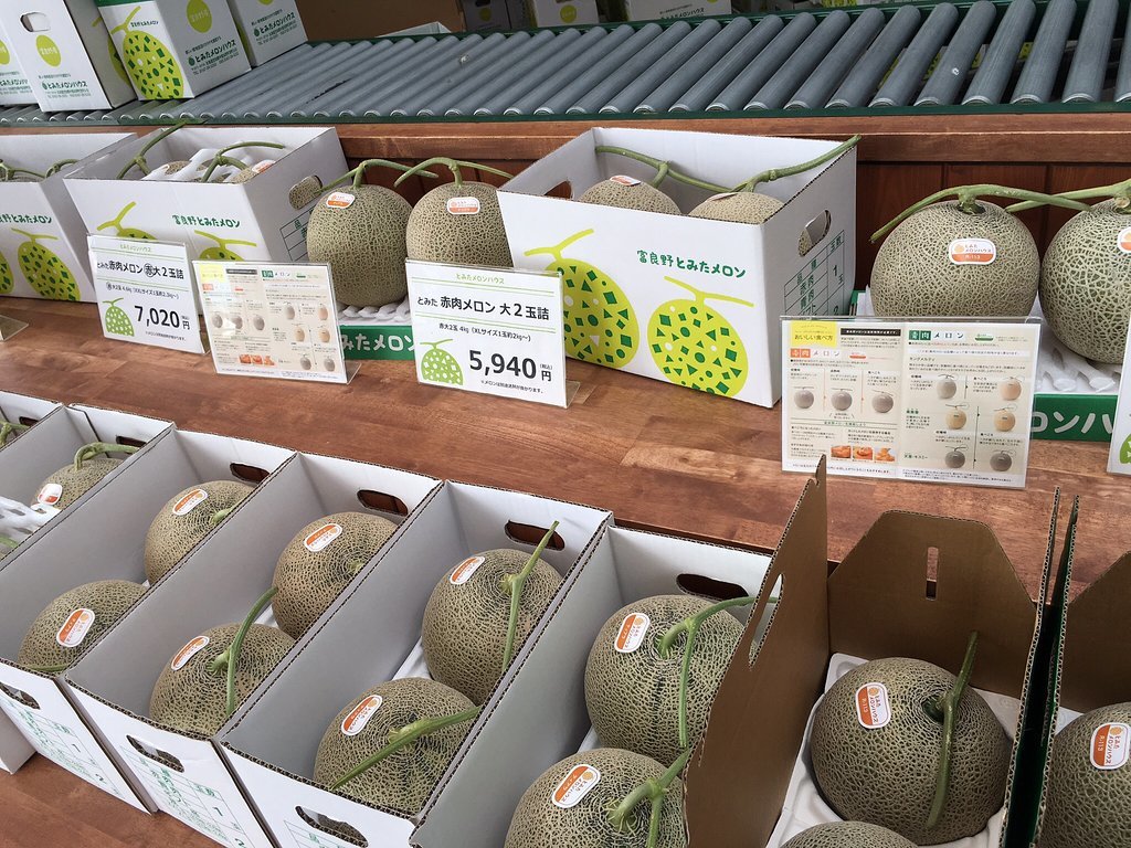 Tomita Melon House